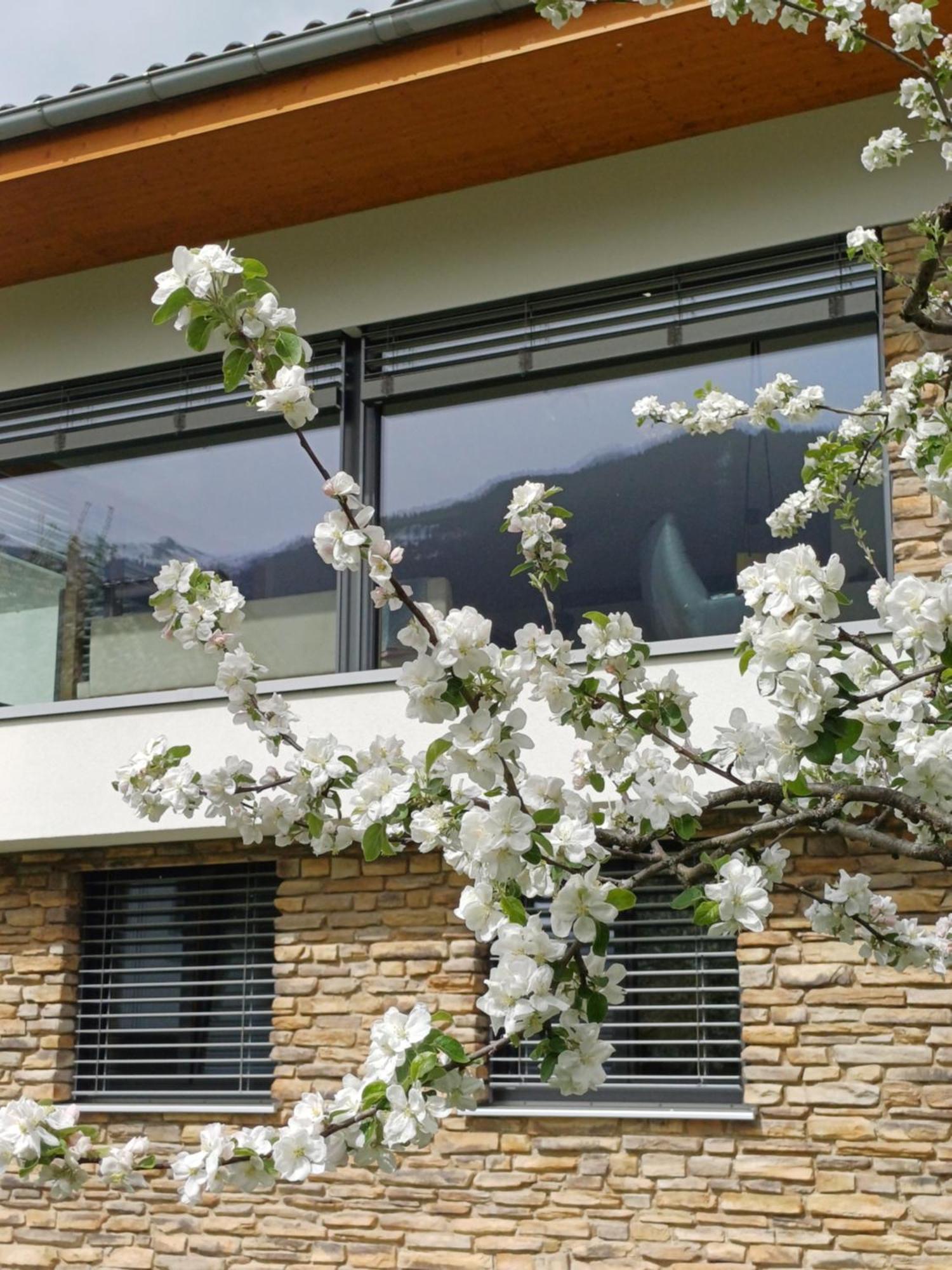 Ferienhaus Raich Vandans Εξωτερικό φωτογραφία